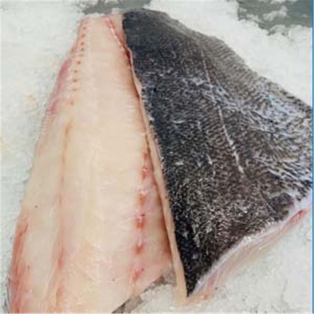 HAPUKA FILLETS S/ON NZ LINE CAUGHT 600GM R/W - Seafood - Fish ...